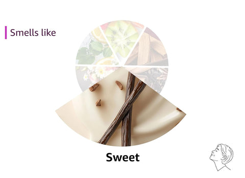 Body Wash The Roots Naturelle Chocolate Bliss Body Wash | Soft as Silk | Skin Purifying & Hydrating | Warm, Sensual Chocolate Scented | 17 oz