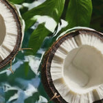 Cocoa Bliss Shea Soufflé Body Butter 4
